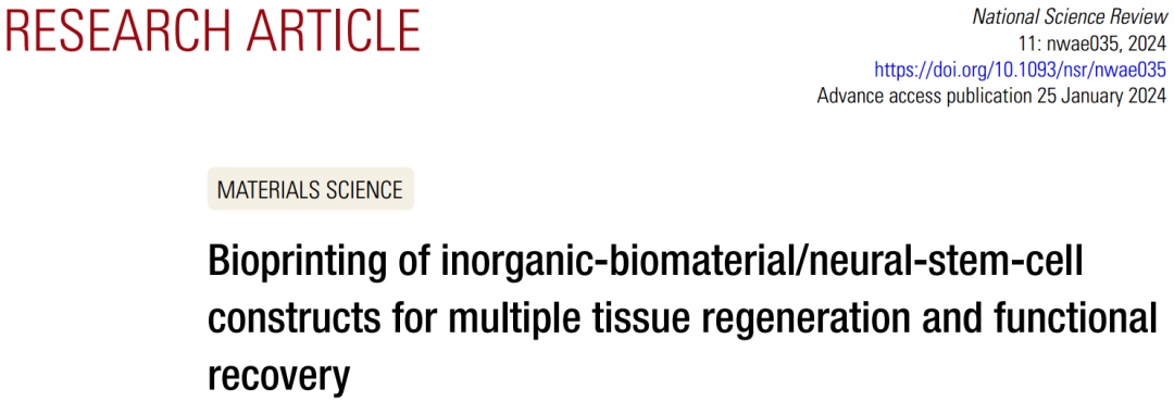 3D打印無機生物材料 神經干細胞構建體推動組織再生與功能恢復
